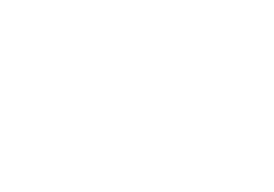 Life of the Party - Rio Tinto Client Logo