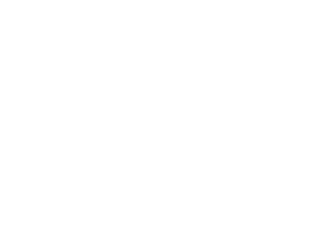 Life of the Party - South Towne Client Logo