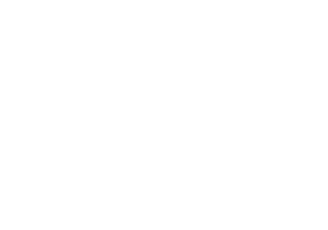 Life of the Party - WCF Client Logo